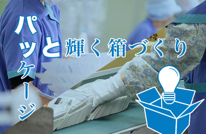 採用情報